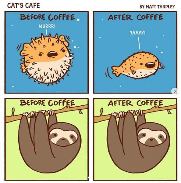 CATS CAFE BY MATT TARPLEY DBEFORE COFFEE AFTER COFFEE Basokscor Wi o oA Ca