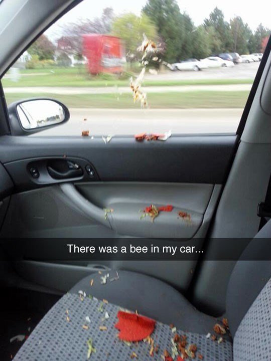 Mzc There was a bee in my car A
