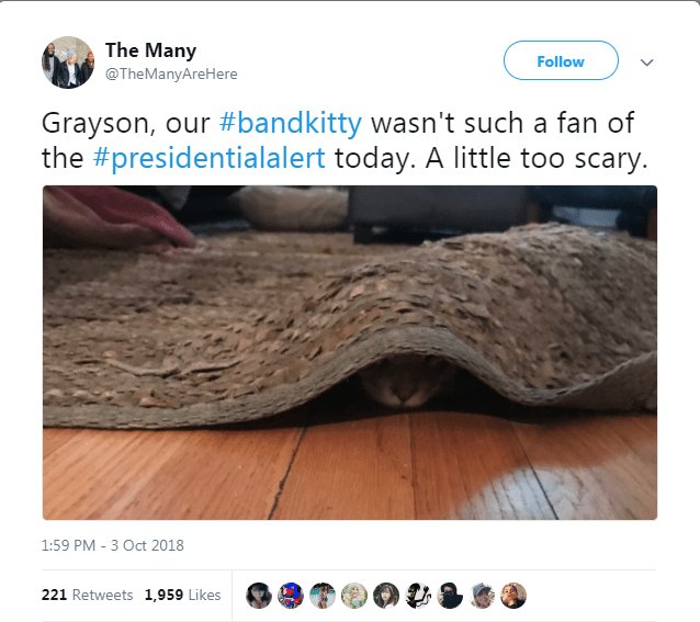 TheManyAreHere Grayson our bandkitty wasnt such a fan of the presidentialalert today A little too scary 159 PM 3 Oct 2018 21reees 19590k P BPOOLSED