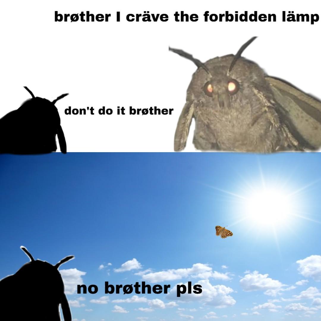 brother criave the forbidden lamp dont do it brother no brgther pls