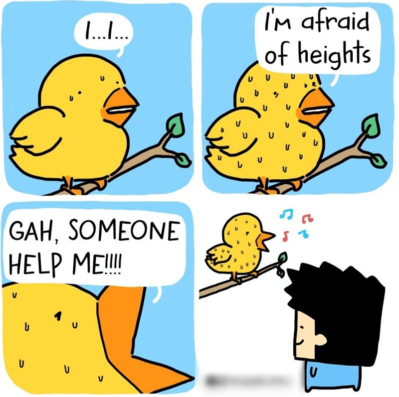 GAH SOMEONE HELP ME o N v v A