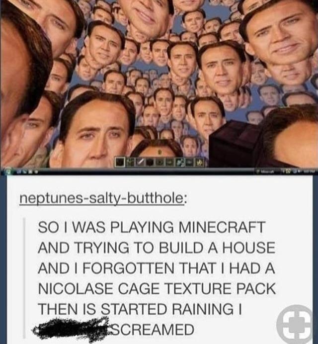 neptunes salty butthole SO WAS PLAYING MINECRAFT AND TRYING TO BUILD A HOUSE AND FORGOTTEN THAT HAD A NICOLASE CAGE TEXTURE PACK THEN IS STARTED RAINING CREANED