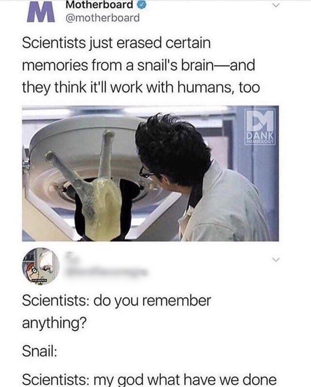 Motherboard motherboard Scientists just erased certain memories from a snails brainand they think itll work with humans too Scientists do you remember anything Shail Scientists my god what have we done