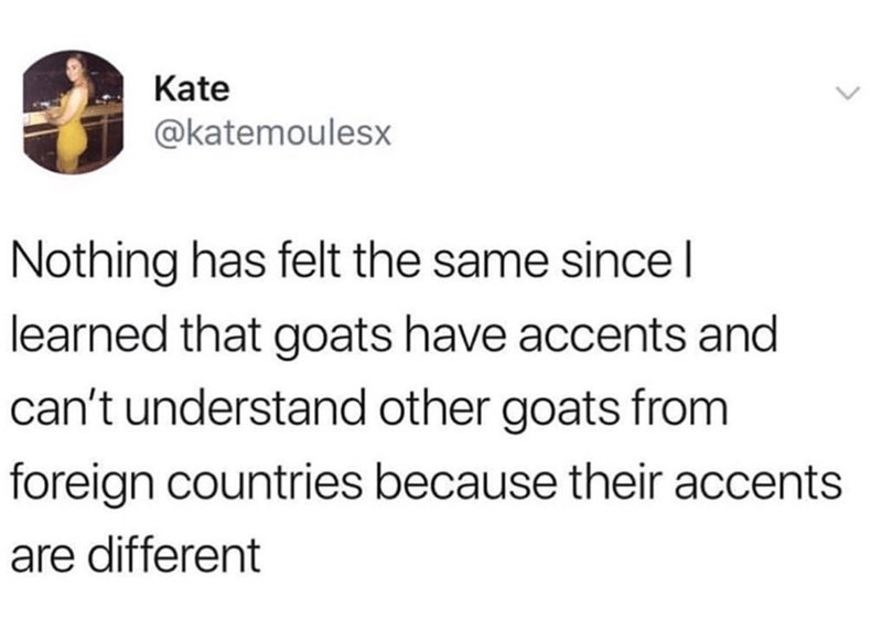 Kate katemoulesx Nothing has felt the same since learned that goats have accents and cant understand other goats from foreign countries because their accents are different