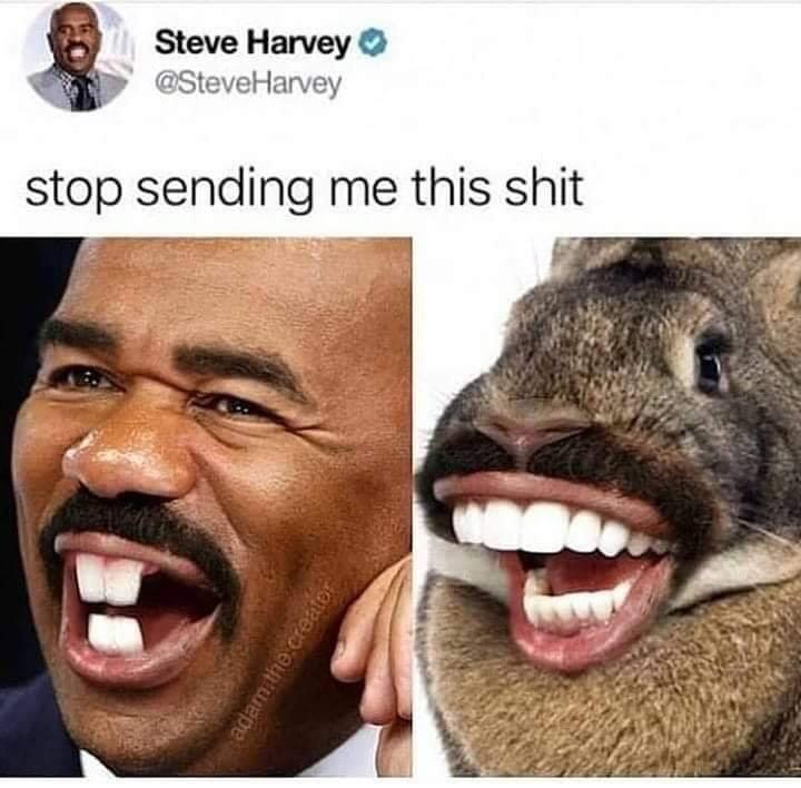 Steve Harvey jp SteveHarvey stop sending me this shit