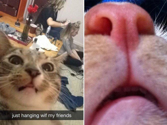 just hanging wif my friends