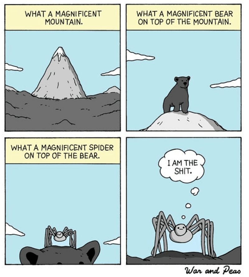 WHAT A MAGNIFICENT BEAR ON TOP OF THE MOUNTAIN WHAT A MAGNIFICENT SPIDER ON TOP OF THE BEAR