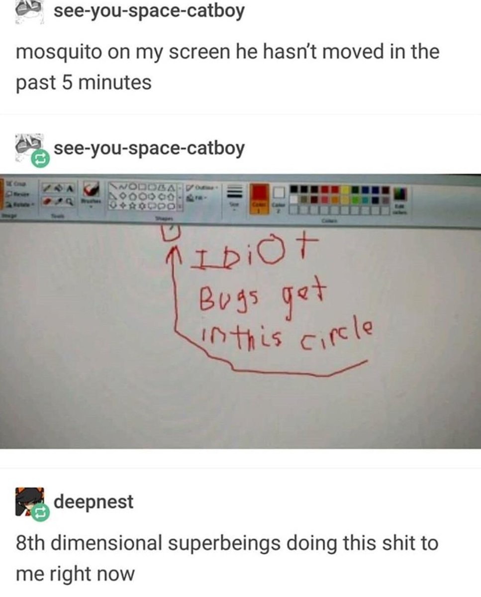 2 see you space catboy mosquito on my screen he hasnt moved in the past 5 minutes see you space catboy deepnest 8th dimensional superbeings doing this shit to me right now