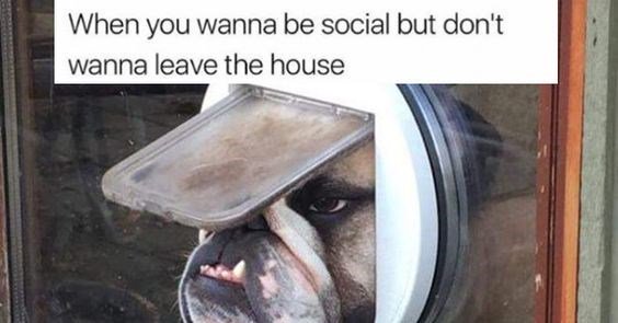 When you wanna be social but dont wanna leave the house