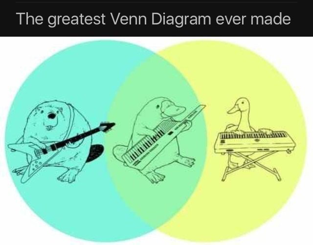 The greatest Venn Diagram ever made