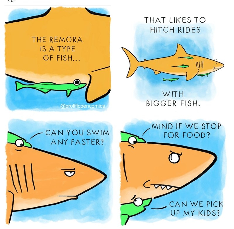 THAT LIKES TO HITCH RIDES THE REMORA IS ATYPE RS 5 TN WITH BIGGER FISH MIND IF WE STOP CAN YOU SWIM 7 FOR FOOD ANY FASTER S __ CAN WE PICK UP MY KIDS dl