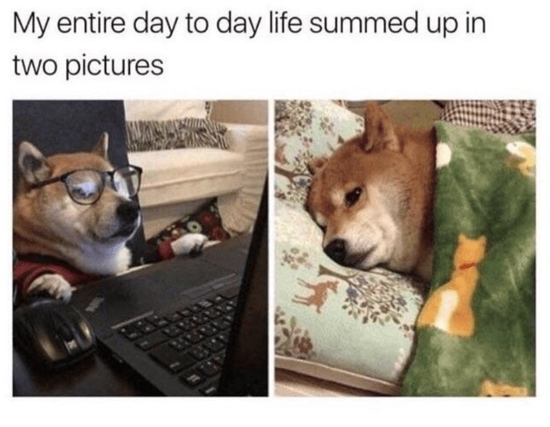 My entire day to day life summed up in two pictures