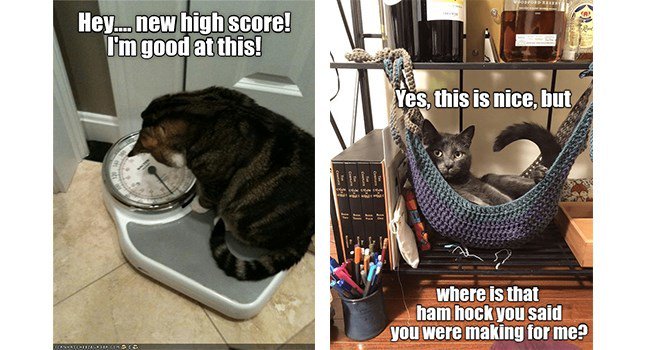 Hey newhigh score limgood atithis whereis that LT TSI Wouweremaking for me3