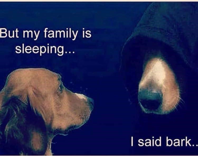 NARVAEINIVAS STTogo IO N said bark