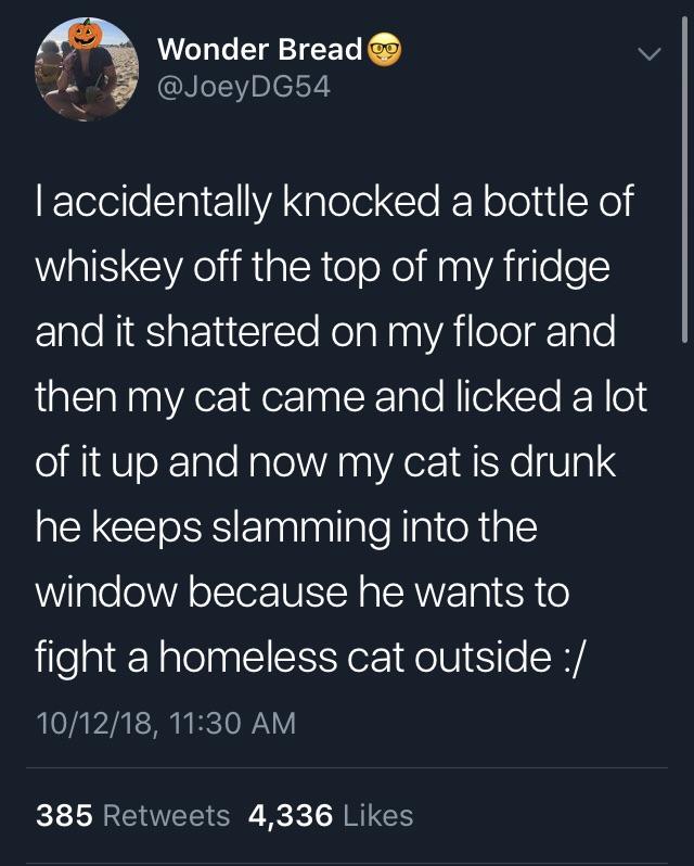 Wonder Bread v J P JoeyDG54 Elelelopl el IANplolo Clo KoY ol Yo whiskey off the top of my fridge Elalo RSt T RolalaaVAilelelTalo then my cat came and licked a lot o iliabloXTaTe Nalo WA naVAez 0 e V101 QY CETSIS ElnnlagllaleRlaeRials window because he wants to jileaiNalelag SIS o1 Rl S o WA 101218 1130 AM 385 Retweets 4336 Likes