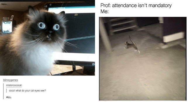 Prof attendance isnt mandatory Me