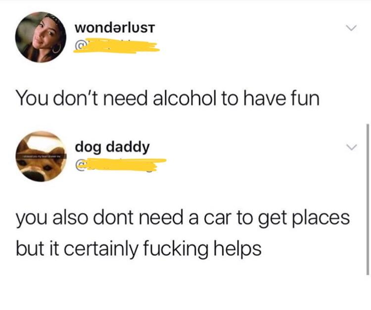 G wondarlust You dont need alcohol to have fun dog daddy you also dont need a car to get places but it certainly fucking helps