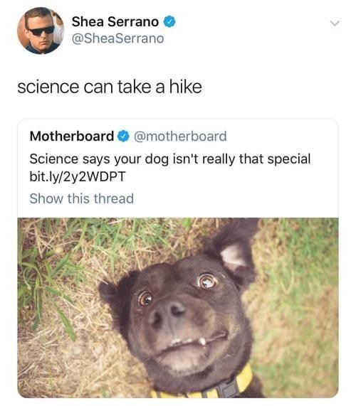 Shea Serrano SheaSerrano science can take a hike Motherboard motherboard Science says your dog isnt really that special bitly2y2WDPT Show this thread