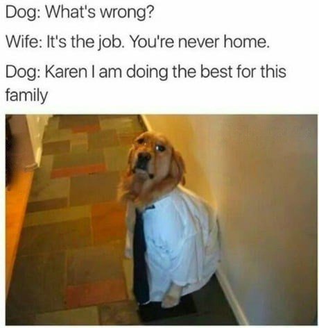 Dog Whats wrong Wife Its the job Youre never home Dog Karen am doing the best for this family