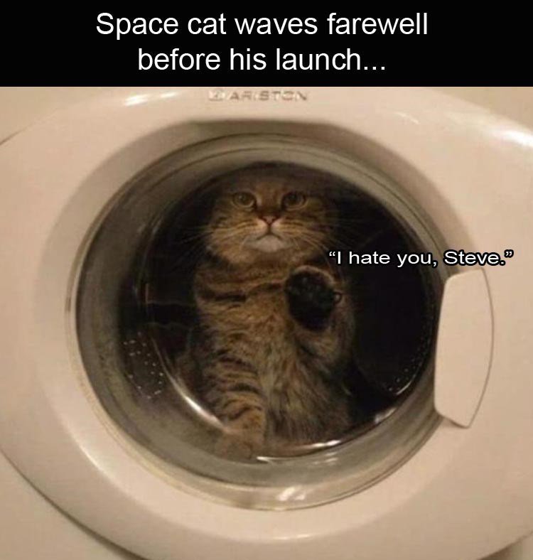 Space cat waves farewell ol o R oIERF1U g IO