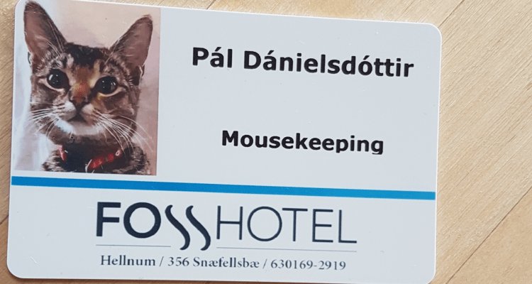 I Pal Danielsdttir Mousekeeping FOHOTEL