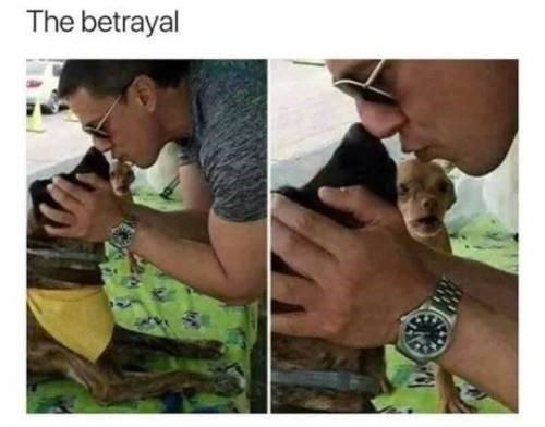 The betrayal