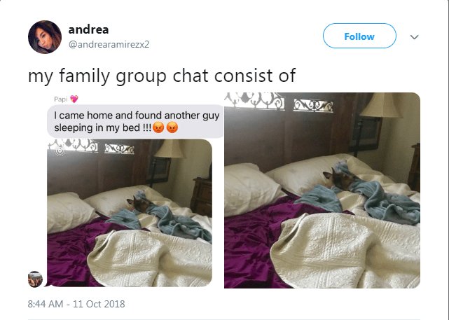 andrea andrearamirezx2 my family group chat consist of I came home and found another guy sleeping in my bed 844 AM 11 Oct 2018