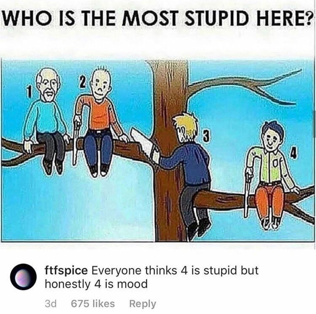 WHO IS THE MOST STUPID HERE ftfspice Everyone thinks 4 is stupid but honestly 4 is mood 3d 675likes Reply