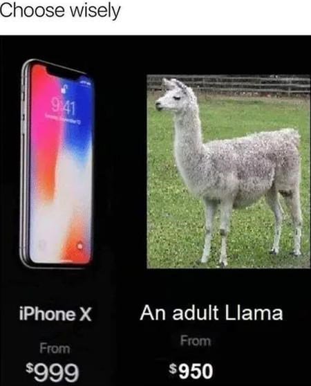 hoose wisely iPhone X An adult Llama pelele 950