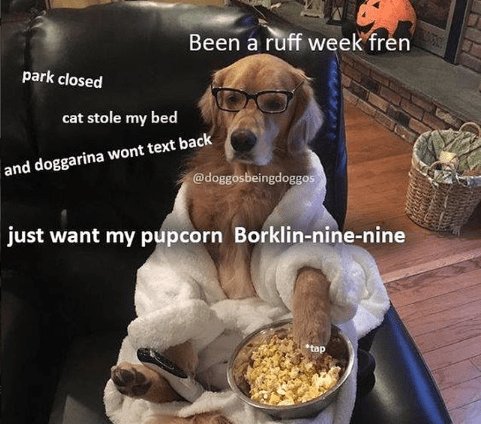 e e T R Beenaweelg ren Park closeq cat stole my bed back and doggeri wont text