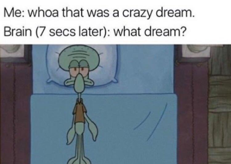 Me whoa that was a crazy dream Brain 7 secs later what dream o