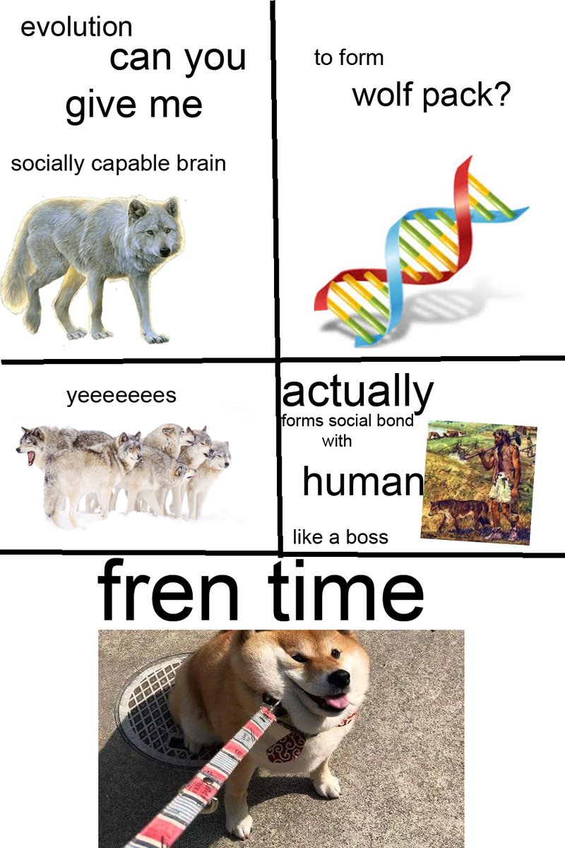 evolution can yOU to form socially capable brain fren time