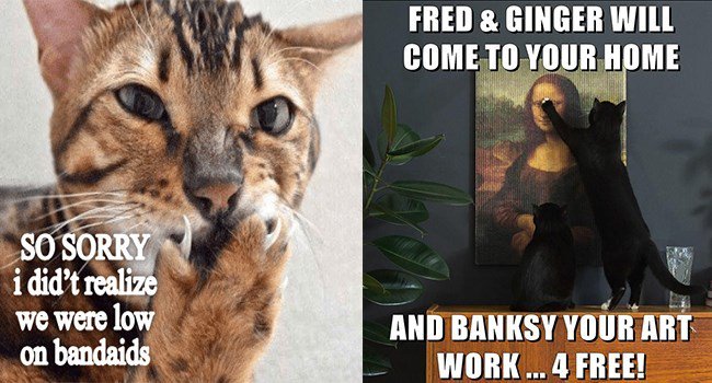 FRED GINGER WILL COMETO YIIIB HDOME e C ANDBANKSYYOUR ART WORK 4 FREE