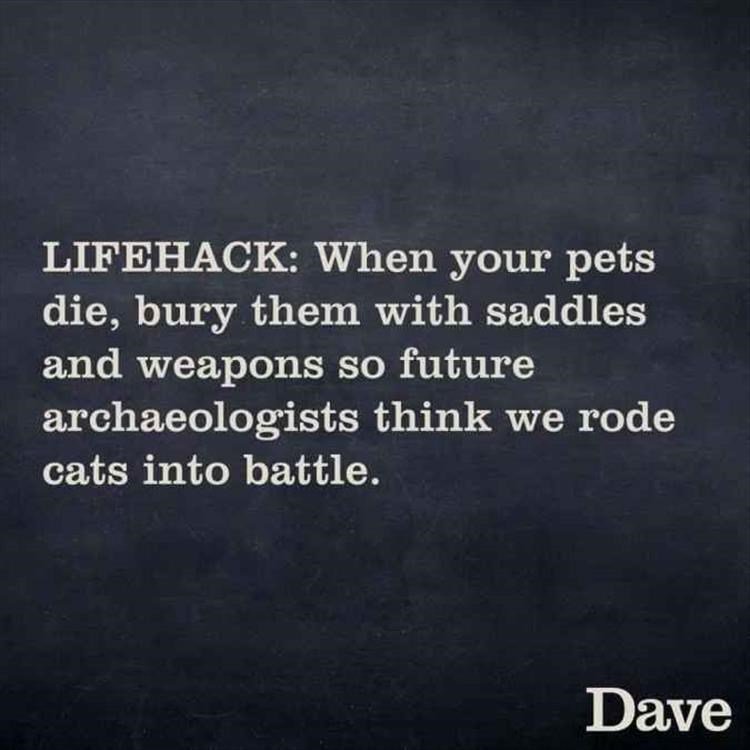 LIFEHACK When your pets die bury them with saddles and weapons so future archaeologists think we rode cats into battle Dave
