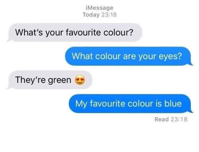 iMessage Today 2318 Whats your favourite colour What colour are your eyes Theyre green YA 170 10 X elo N IR o V Read 2318