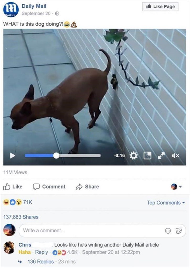 Daily Mail il Like Page September 20 WHAT is this dog doing AR T T 11M Views oY Like D Comment Share L 3 0 71K Top Comments 137883 Shares Write a comment Chris Looks like hes writing another Daily Mail article Haha Reply 9 46K September 20 at 1222pm 136 Replies 23 mins