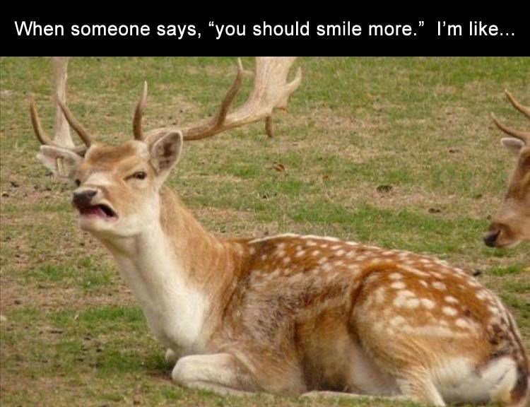 When someone says you should smile more Im like