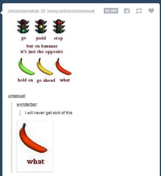 g0 yield stop but on bananas its just the opposite AN hold on go ahead what unsexual wunderbar i will never get sick of this what