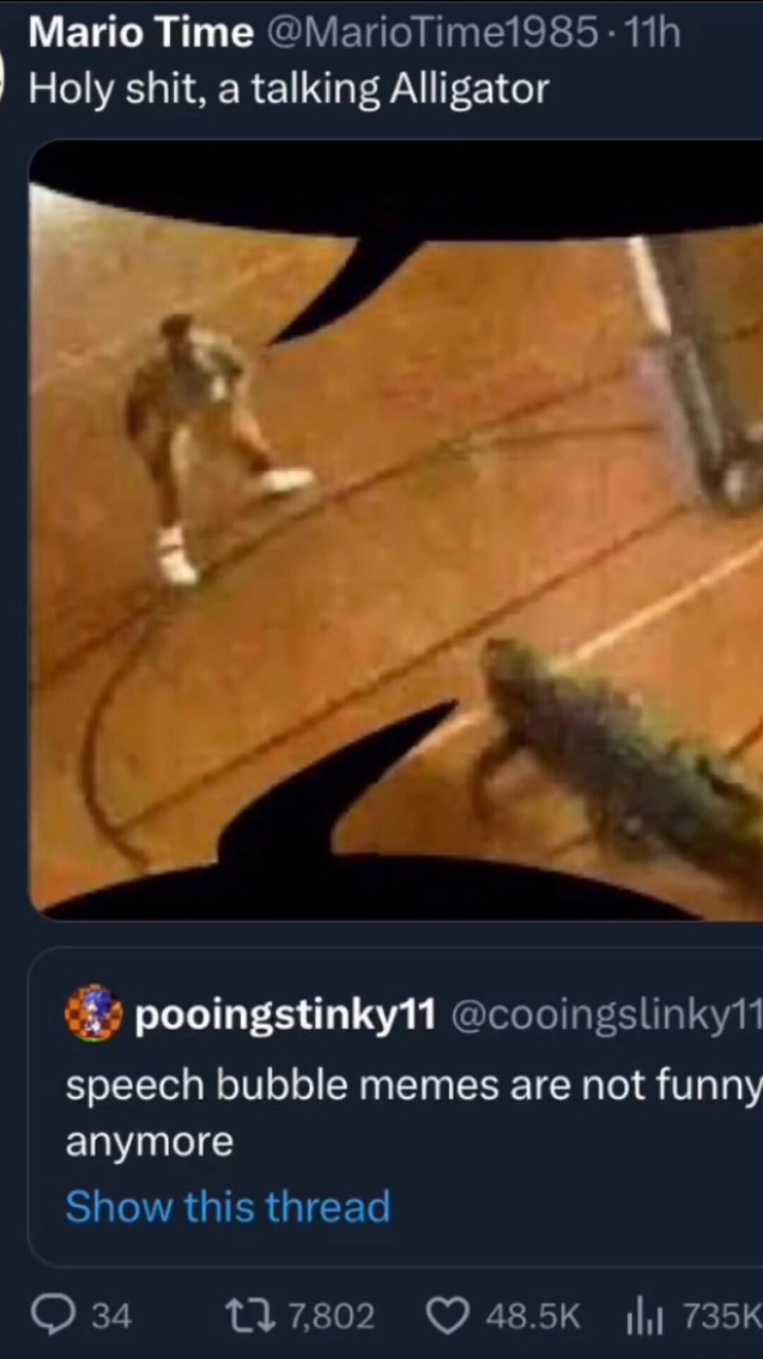 Mario Time MarioTime1985 11h Holy shit a talking Alligator 42 pooingstinky11 cooingslinky1 speech bubble memes are not funny EWuIC SR GIERGICET Q34 117802 Q485K 735K