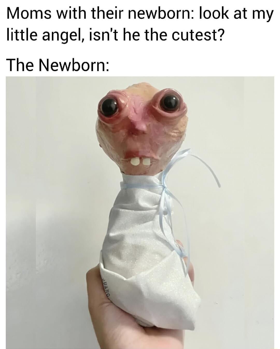 Moms with their newborn: look at my little angel, isn’t he the cutest? The Newborn: