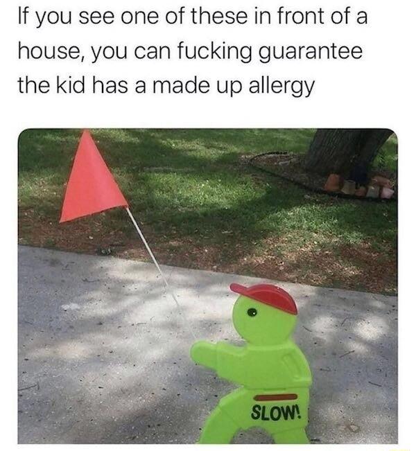 If you see one of these in front of a house you can fucking guarantee the kid has a made up allergy