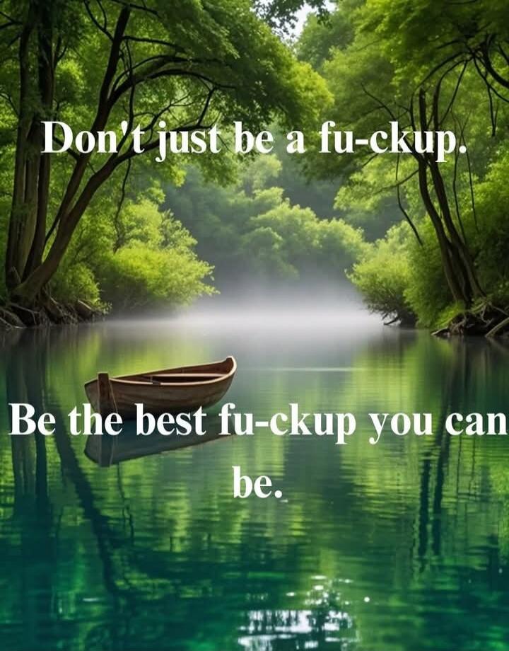 Don't just be a fu-ckup. Be the best fu-ckup you can be.