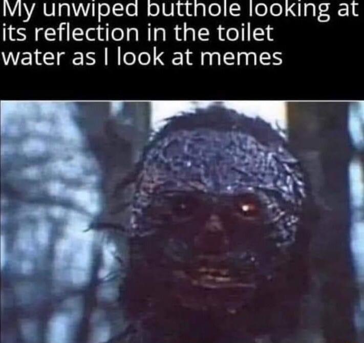 My unwipead buttnole l00King at its reflection in the toilet water as look at memes