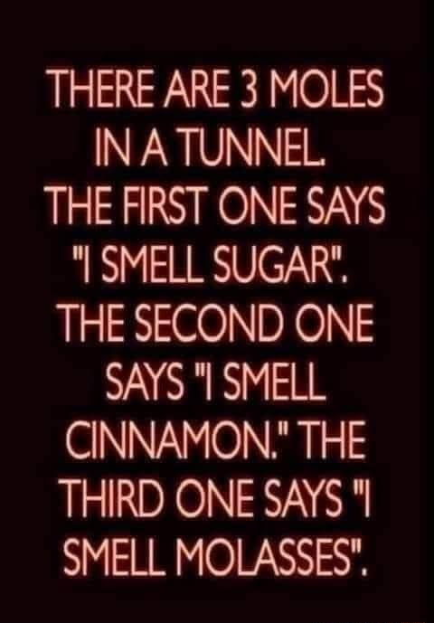 THERE ARE 3 MOLES IN A TUNNEL THE FIRST ONE SAYS SMELL SUGAR THE SECOND ONE SAYS I SMELL CINNAMON THE THIRD ONE SAYS SMELL MOLASSES