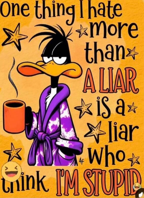 One thing I hate more than a liar is a liar who thinks I'm stupid