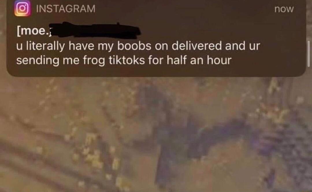 INSTAGRAM moe uliterally have my boobs on delivered and ur sending me frog tiktoks for half an hour