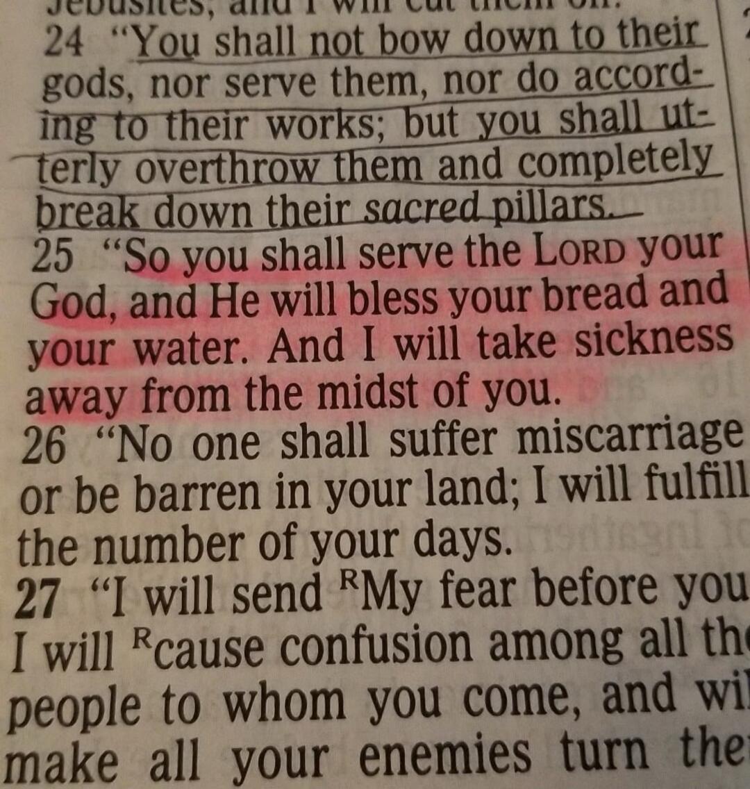 You shall not bow down to their gods, nor serve them, nor do according to their works; but you shall utterly overthrow them and completely break down their sacred pillars. So you shall serve the LORD your God, and He will bless your bread and your water. And I will take sickness away from the midst of you. No one shall suffer miscarriage or be barr