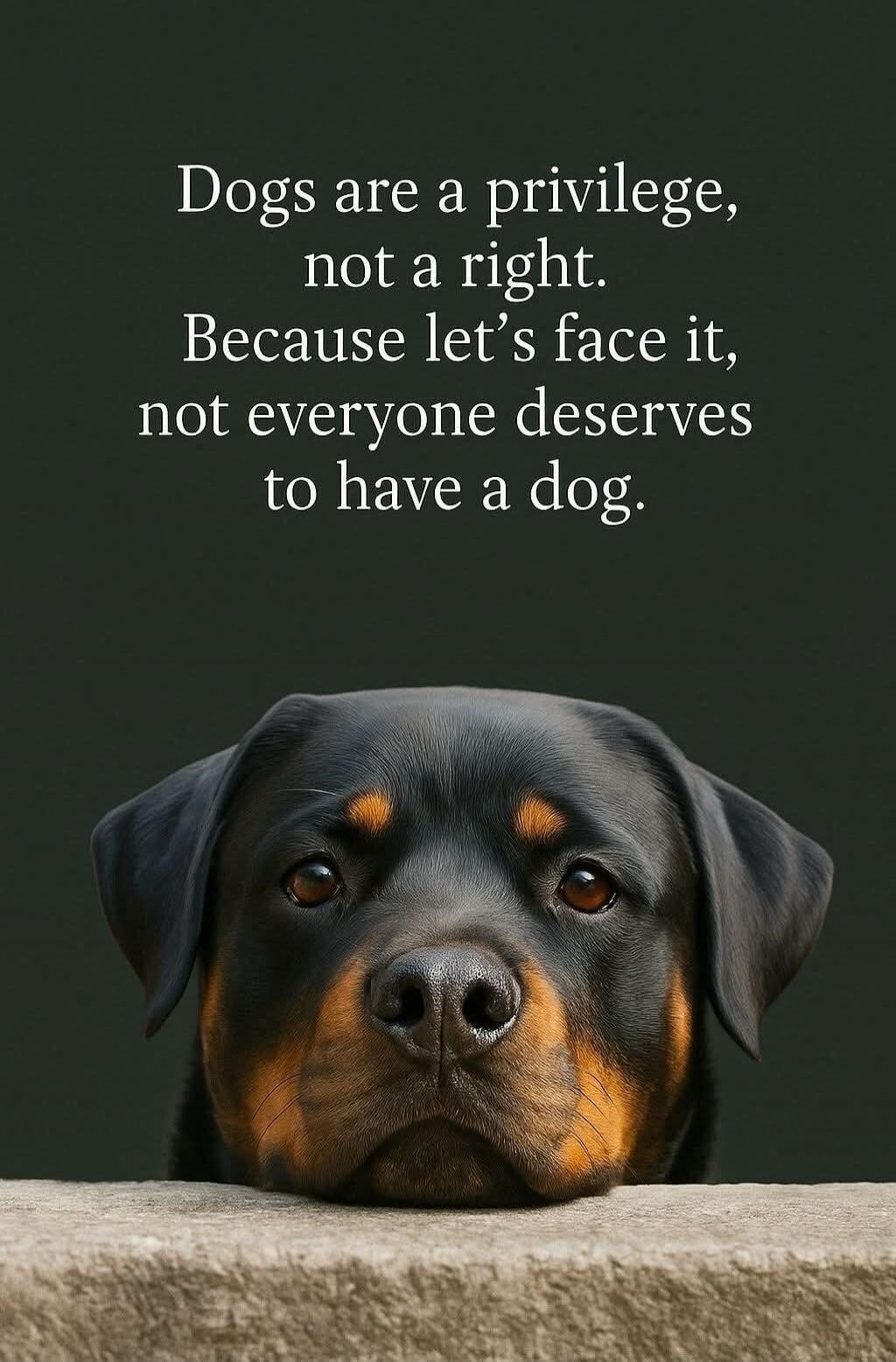 Dogs are a privilege, not a right. Because let's face it, not everyone deserves to have a dog.