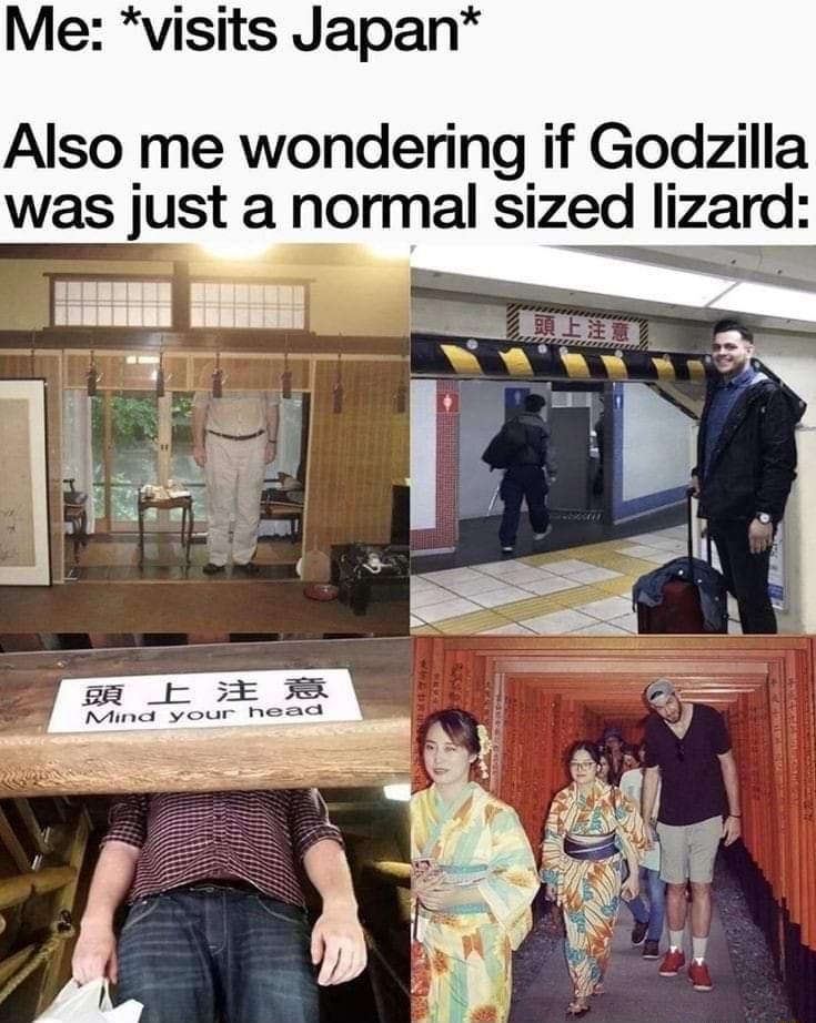 Me visits Japan Also me wondering if Godzilla was just a normal sized lizard