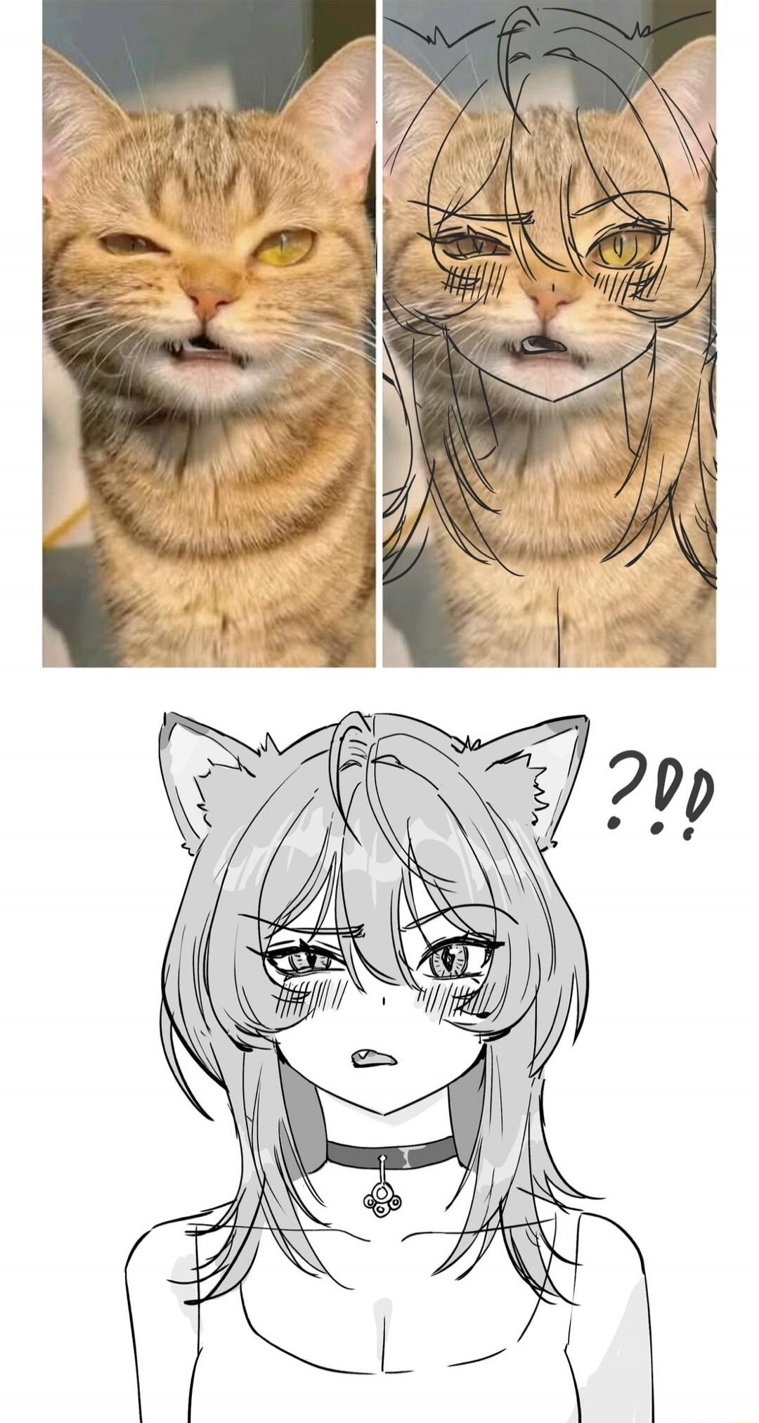 ??!!